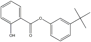 サリチル酸3-tert-ブチルフェニル 化学構造式