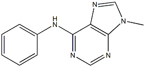 6-Phenylamino-9-methyl-9H-purine Struktur