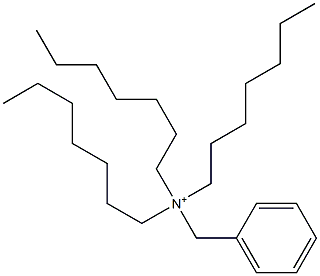 Triheptylbenzylaminium Structure