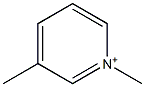 1-Methyl-3-methylpyridinium