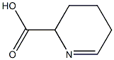 2,3,4,5-Tetrahydropyridine-2-carboxylic acid Structure