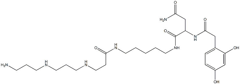 3-[[2-(2,4-Dihydroxyphenyl)-1-oxoethyl]amino]-3-[(1,9-dioxo-19-amino-2,8,12,16-tetraazanonadecan)-1-yl]propan-1-amide Struktur