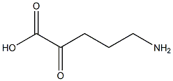 5-アミノ-2-オキソペンタン酸 化学構造式