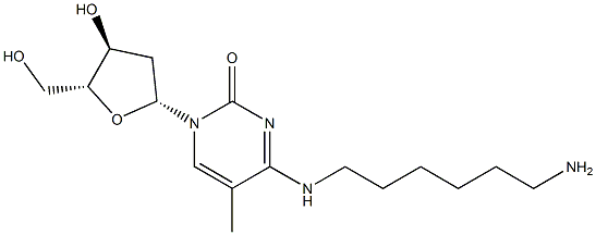 N-(6-Aminohexyl)-5-methyl-2'-deoxycytidine Structure