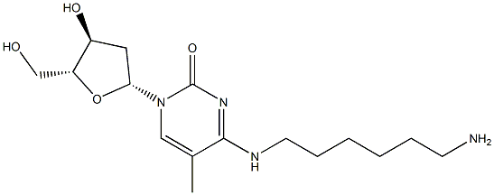  N-(6-Aminohexyl)-5-methyl-2'-deoxycytidine