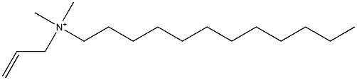 Allyldimethyldodecylaminium Structure