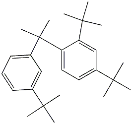 2-(2,4-Di-tert-butylphenyl)-2-(3-tert-butylphenyl)propane,,结构式