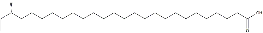 [S,(+)]-24-メチルヘキサコサン酸 化学構造式