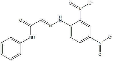 N-Phenyl-2-[2-(2,4-dinitrophenyl)hydrazono]acetamide