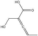 (S)-2-(Hydroxymethyl)-2,3-pentadienoic acid,,结构式