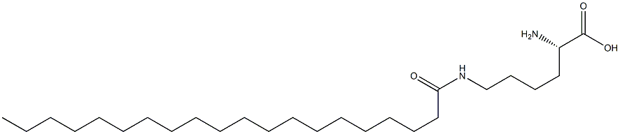  N6-Icosanoyllysine