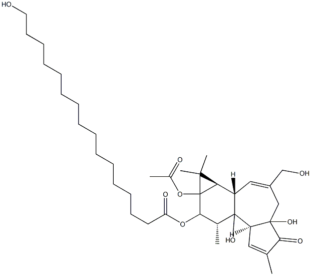 13-Acetoxy-12-(hexadecanoyloxy)-4,9,16,20-tetrahydroxy-1,6-tigliadien-3-one Structure