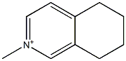 2-Methyl-5,6,7,8-tetrahydroisoquinolin-2-ium