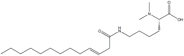 N6-(3-トリデセノイル)-N2,N2-ジメチルリシン 化学構造式