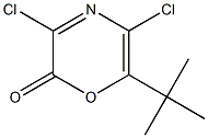 3,5-ジクロロ-6-tert-ブチル-2H-1,4-オキサジン-2-オン 化学構造式