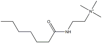 2-(Heptanoylamino)-N,N,N-trimethylethanaminium|