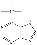 (7H-Purine-6-yl)trimethylaminium Struktur