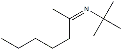 N-(tert-Butyl)-2-heptanimine 结构式