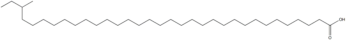 31-Methyltritriacontanoic acid