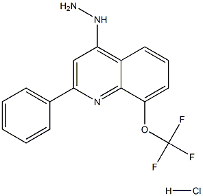 4-Hydrazino-2-phenyl-8-trifluoromethoxyquinoline Hydrochloride Structure