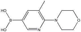 5-甲基-6-(4-吗啉基)吡啶-3-硼酸,,结构式