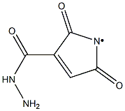 3-maleimido hydrazide Struktur