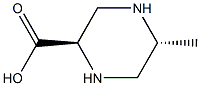 (2R,5R)-5-methylpiperazine-2-carboxylic acid,2380469-43-0,结构式