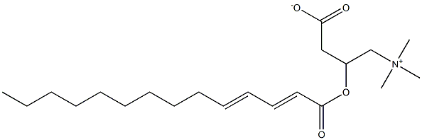 Tetradeca-2,4-dien-oyl Carnitine 结构式