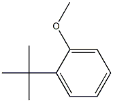 1-叔丁基-2-甲氧基苯