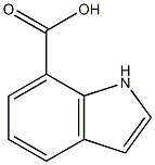 7-indole carboxylic acid