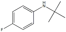 4-FLUORO-PHENYLTERT-BUTYLAMINE 结构式
