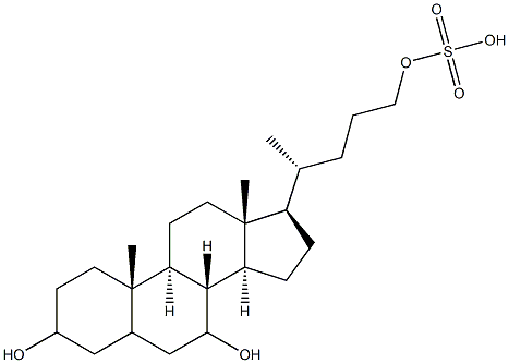 cholane-3,7,24-triol-24-sulfate 化学構造式