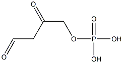 (2,4-dioxo)butyl phosphate