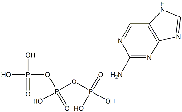 2-aminopurine triphosphate