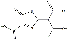 2-(4-carboxy-5-methylene-2H-thiazol-2-yl)-3-hydroxybutanoic acid