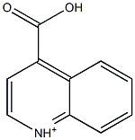 4-carboxyquinolinium|