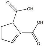 PYRROLIDENE-1,5-DICARBOXYLICACID 化学構造式