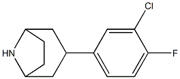 3-(3-chloro-4-fluorophenyl)-8-azabicyclo[3.2.1]octane