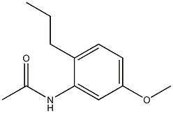 N1-(5-methoxy-2-propylphenyl)acetamide 化学構造式