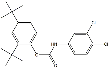 2,4-di(tert-butyl)phenyl N-(3,4-dichlorophenyl)carbamate