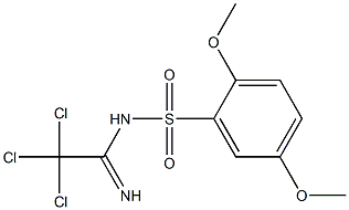 N1-(2,2,2-trichloroethanimidoyl)-2,5-dimethoxybenzene-1-sulfonamide 结构式