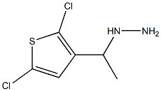 1-(1-(2,5-dichlorothiophen-3-yl)ethyl)hydrazine 化学構造式