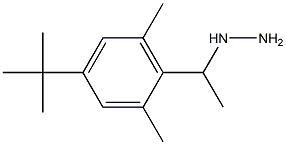 1-(1-(4-tert-butyl-2,6-dimethylphenyl)ethyl)hydrazine Structure