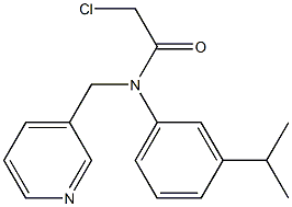 2-chloro-N-(3-isopropylphenyl)-N-((pyridin-3-yl)methyl)acetamide