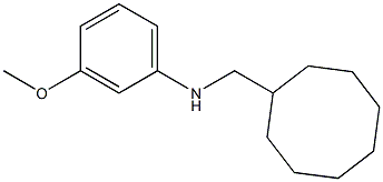 N-(cyclooctylmethyl)-3-methoxybenzenamine Structure