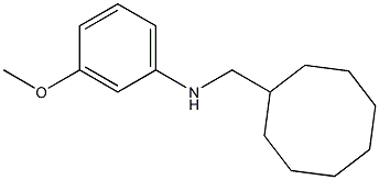 N-(cyclooctylmethyl)-3-methoxybenzenamine,,结构式