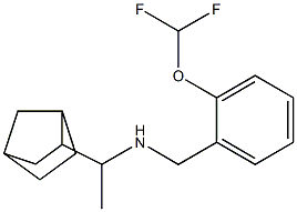 (1-{bicyclo[2.2.1]heptan-2-yl}ethyl)({[2-(difluoromethoxy)phenyl]methyl})amine