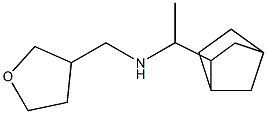 (1-{bicyclo[2.2.1]heptan-2-yl}ethyl)(oxolan-3-ylmethyl)amine Structure