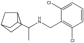 (1-{bicyclo[2.2.1]heptan-2-yl}ethyl)[(2,6-dichlorophenyl)methyl]amine