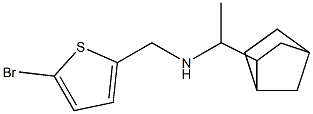 (1-{bicyclo[2.2.1]heptan-2-yl}ethyl)[(5-bromothiophen-2-yl)methyl]amine,,结构式